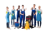 maid cleaning online business - 1