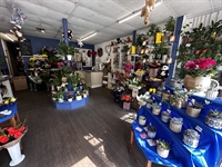 well-established florist with strong - 1