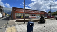 established discount frozen food - 1