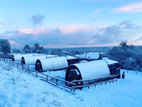 freehold luxury glamping business - 2