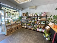 established florist shop lease - 1