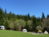 glamping camping website for - 3
