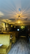 established licensed south indian - 1
