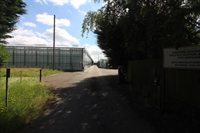 east yorkshire wholesale nursery - 1