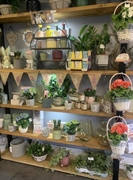 a highly rated florist - 2