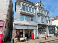 rare freehold mixed-use property - 1