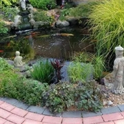 specialist pond protection supplier - 3