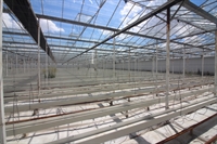 east yorkshire wholesale nursery - 3