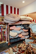 the tetbury pet shop - 3