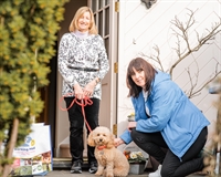 successful chichester pet care - 1