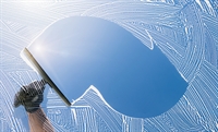 established window cleaning business - 3