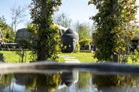 award-winning holistic wellness centre - 2