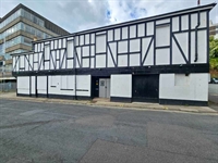 established adult entertainment venue - 1