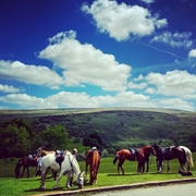 an iconic free-of-tie dartmoor - 3
