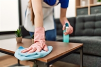 domestic commercial cleaning business - 2