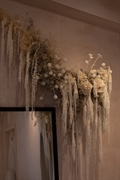 profitable fashion-forward bridal shop - 2