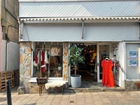rare freehold mixed-use property - 2