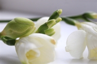luxury wedding event floral - 2