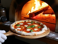 profitable mobile pizza business - 1