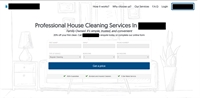 fantastic online cleaning business - 1