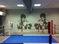 independent gym with boxing - 2