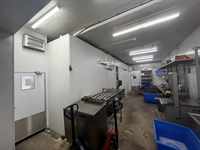 freehold property with fish - 2