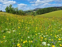 profitable glamping business glenshee - 2