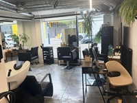 forced sale hair beauty - 1