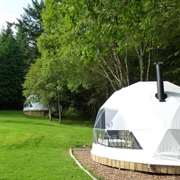 glamping camping website for - 2