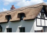 well established thatched roofing - 2