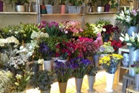 established florist renfrew - 2