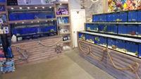 marine aquatics retailer bradford - 1
