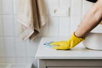 established cleaning business north - 2