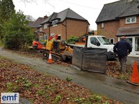 established arborist landscaping business - 2
