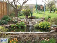 garden pond maintenance installation - 2