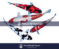 koi carp business henley - 2