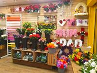 extremely well established florist - 3