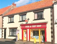 substantial victorian freehold fish - 1