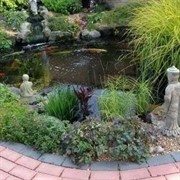 specialist pond protection supplier - 1