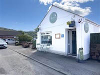 cult café - 1
