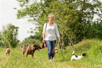 scalable dog walking business - 3