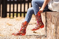 established online footwear retailer - 2