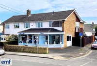 pet supplies hair salon - 1