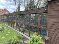 cattery - 1