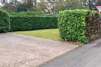 relocatable horticultural landscaping business - 2