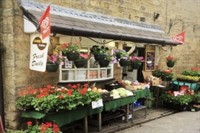 grocery store with food - 3