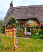 quaint tearoom - 1