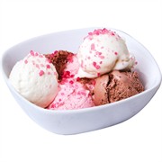 ice cream wholesale southeast - 1
