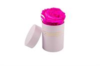 established relocatable eternity rose - 2