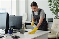 established commercial domestic cleaning - 1